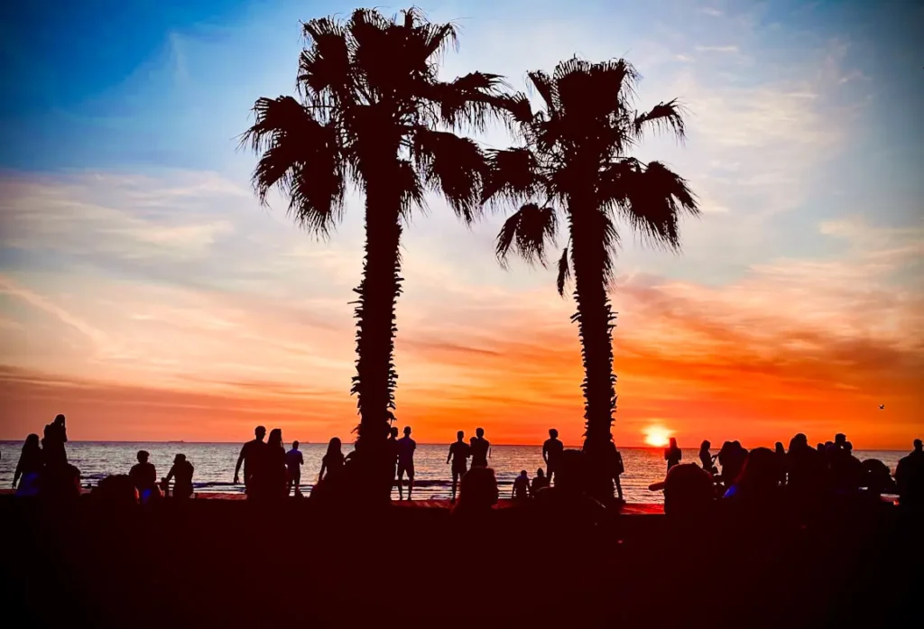 Sunset at St Kilda Beach with two palm trees silhouetted against the colorful sky.